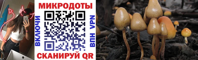 Галлюциногенные грибы GOLDEN TEACHER Славск