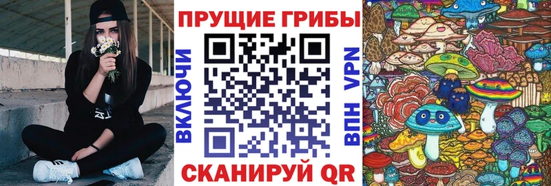 hydra ТОР  Славск  Галлюциногенные грибы Psilocybine cubensis 